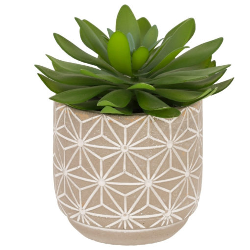 Umělá květina Kave Home Cactus 17 cm