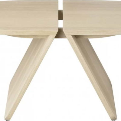Konferenční stolek z dubového dřeva v přírodní barvě 43x80 cm Avio – Blomus