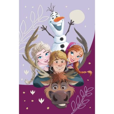 Jerry Fabrics Dětská deka Frozen Family 03
